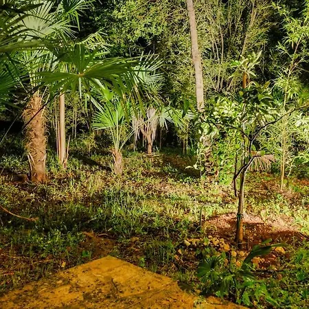 Pure Nature Haven By The Sea With Hot Tub *