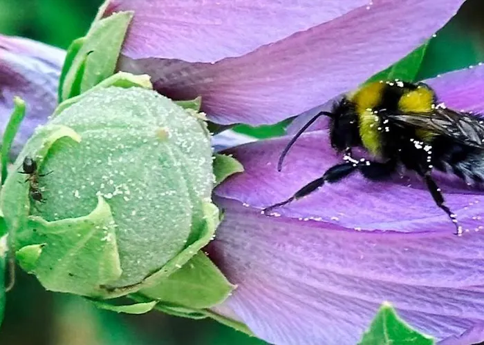 Σπίτι διακοπών Pure Nature Haven By The Sea With Hot Tub Ρόβινι