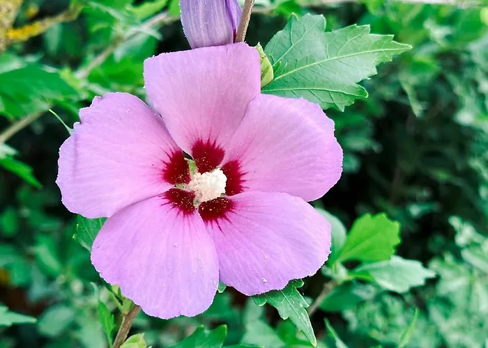 Pure Nature Haven By The Sea With Hot Tub Σπίτι διακοπών